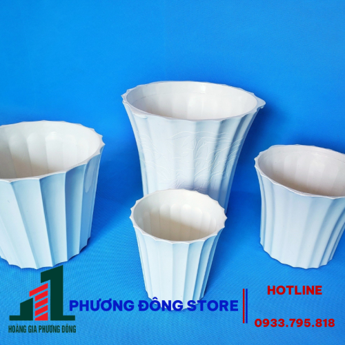  Chậu trồng cây Mini 